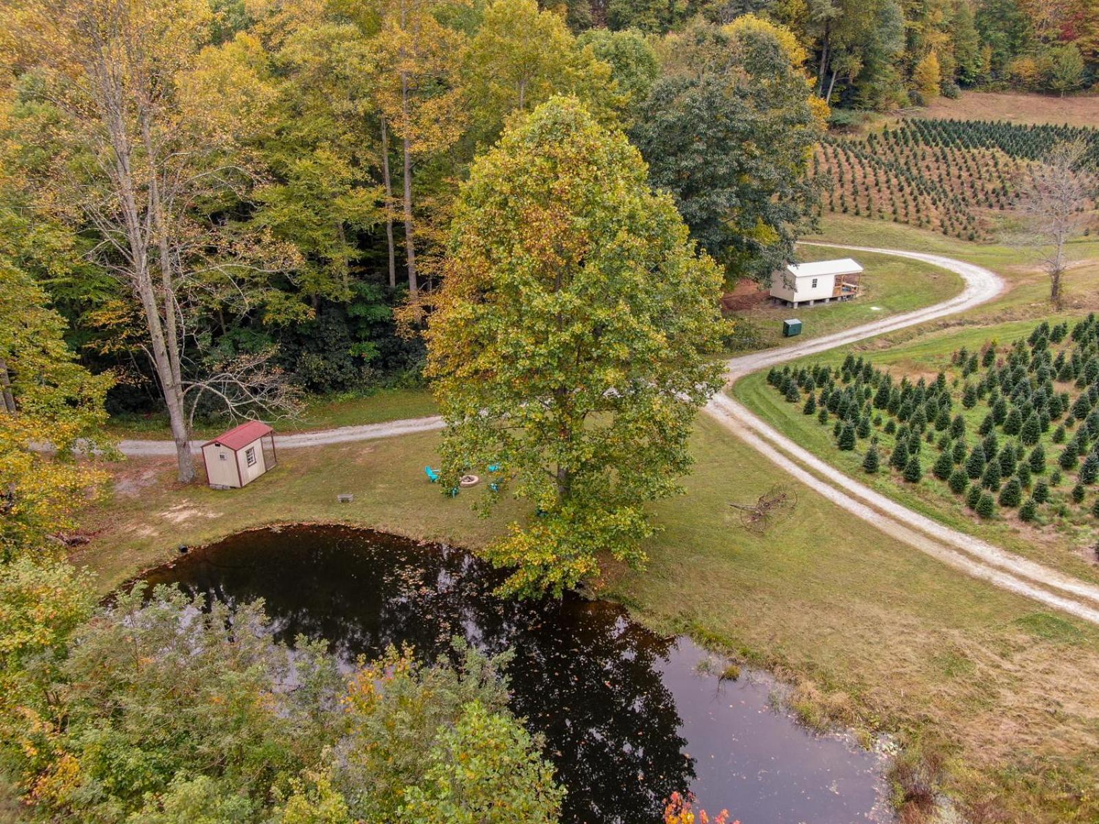 Songbird Cabin Villa Vilas Buitenkant foto